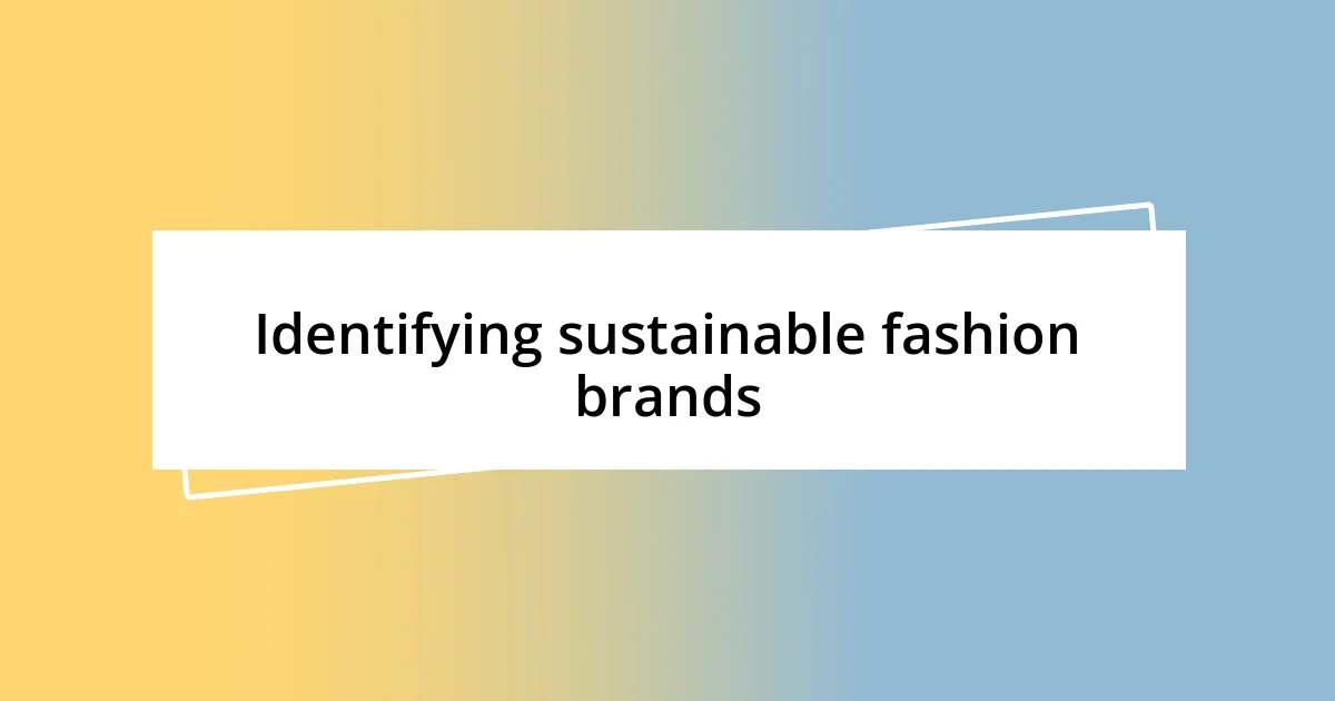 Identifying sustainable fashion brands