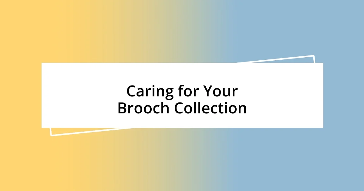 Caring for Your Brooch Collection