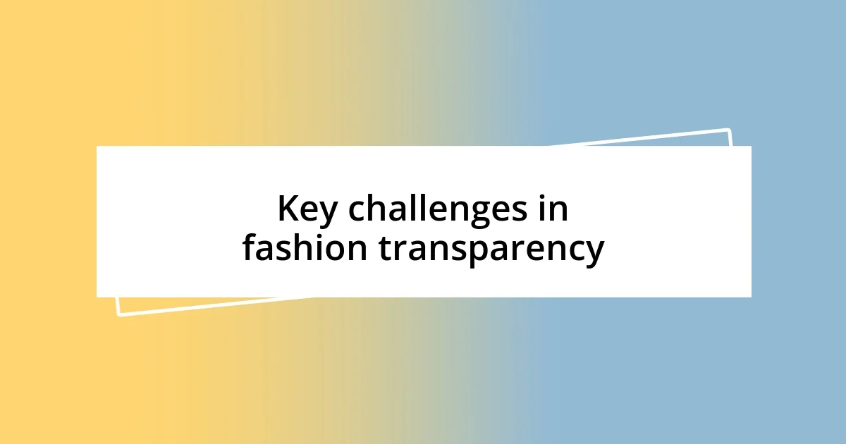 Key challenges in fashion transparency