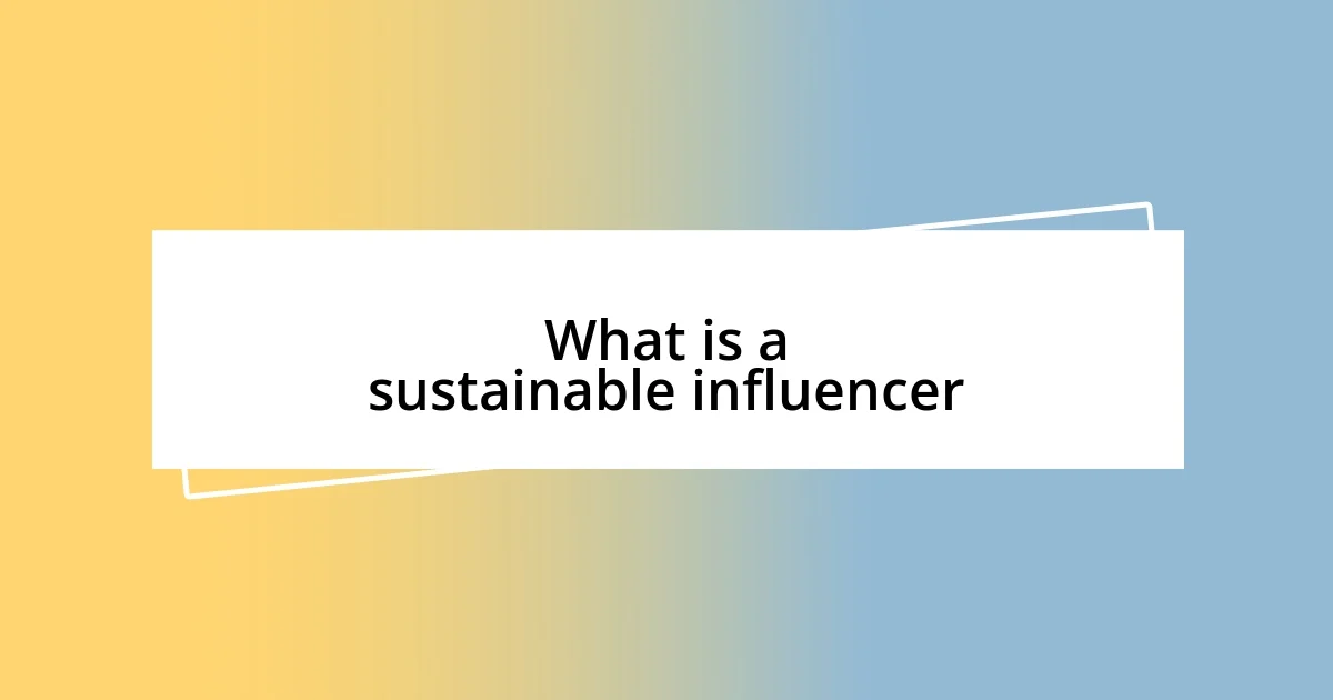 What is a sustainable influencer